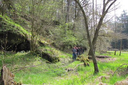 Hubertussteig I &ndash; (01.05.2016, VGN &copy;&nbsp;VGN GmbH)