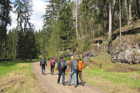 Im Veldensteiner Forst &ndash; (01.05.2016, VGN &copy;&nbsp;VGN GmbH)