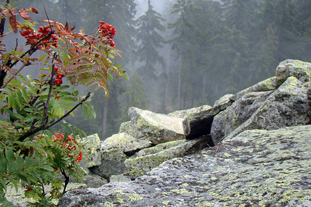 Herbstlicher Plattengipfel &ndash; (10.09.2011, VGN &copy;&nbsp;VGN GmbH)