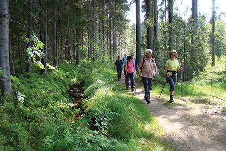 Wanderweg &ndash; (VGN &copy;&nbsp;VGN GmbH)