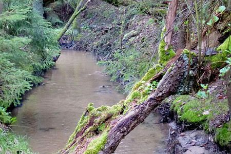Finsterbach &ndash; (28.04.2013, VGN &copy;&nbsp;VGN GmbH)