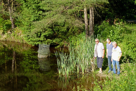 An den Finstermühlweihern &ndash; (01.07.2013, VGN &copy;&nbsp;VGN GmbH)