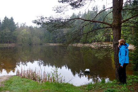 Neu angelegter Weiher &ndash; (28.04.2013, VGN &copy;&nbsp;VGN GmbH)