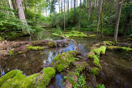 Kaisinger Tal &ndash; (09.07.2018, VGN &copy;&nbsp;VGN GmbH)