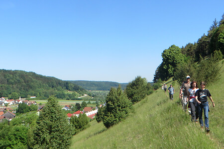Runter nach Enkering &ndash; (06.07.2018, VGN &copy;&nbsp;VGN GmbH)