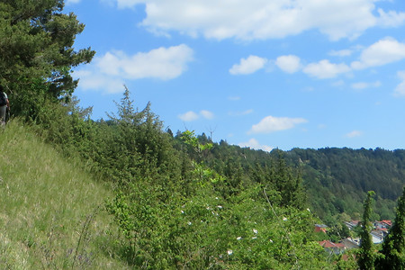 Aufstieg zum Kreuzberg &ndash; (06.07.2018, VGN &copy;&nbsp;VGN GmbH)