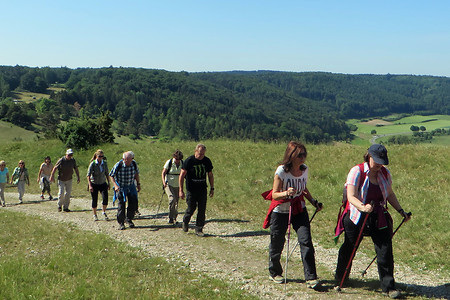 Hinauf zum Schellenberg &ndash; (06.07.2018, VGN &copy;&nbsp;VGN GmbH)