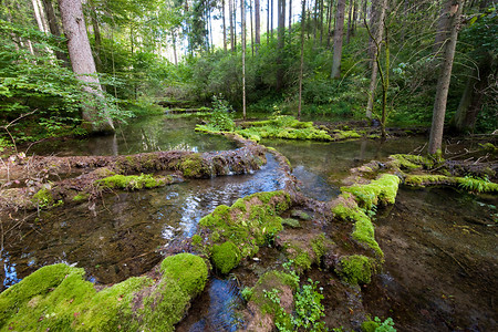 Kaisinger Tal &ndash; (09.07.2018, VGN &copy;&nbsp;VGN GmbH)