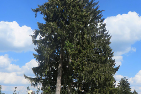 Richtung Kaisinger Tal &ndash; (06.07.2018, VGN &copy;&nbsp;VGN GmbH)