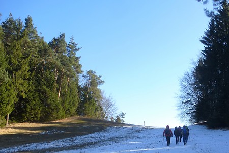 Unterhalb der Zant &ndash; (09.03.2018, VGN &copy;&nbsp;VGN GmbH)