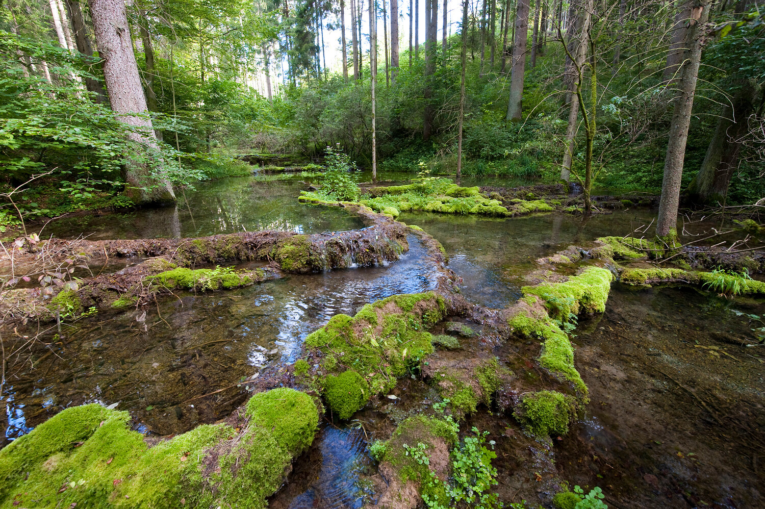 Kaisinger Tal &ndash;  (09.07.2018, VGN &copy;&nbsp;VGN GmbH)