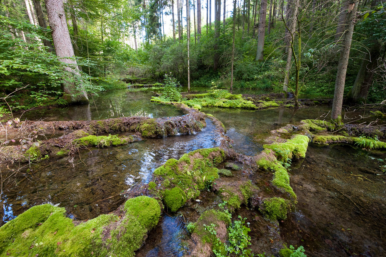 Kaisinger Tal &ndash;  (09.07.2018, VGN &copy;&nbsp;VGN GmbH)