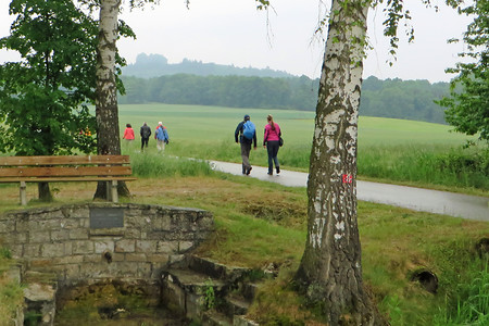 Auf dem Weg zum Ansberg (Veitsberg) &ndash; (29.09.2015, VGN &copy;&nbsp;VGN GmbH)