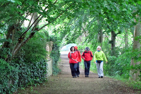 In Ebensfeld &ndash; (29.09.2015, VGN &copy;&nbsp;VGN GmbH)
