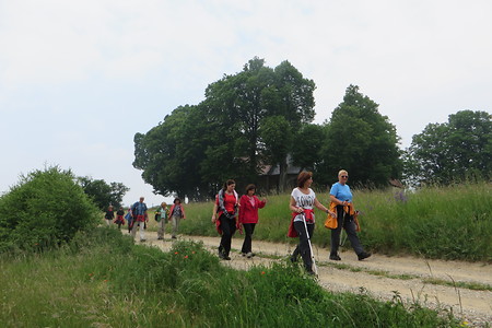 Auf dem Weg zum Naturfreundhaus &ndash; (29.09.2015, VGN &copy;&nbsp;VGN GmbH)