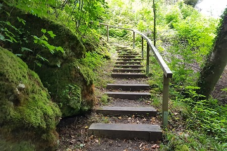 Aufstieg nach Plankenfels &ndash; (14.08.2019, S. Dassler &copy;&nbsp;VGN GmbH)