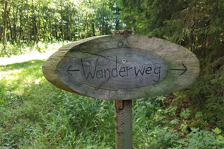 Wanderweg nahe Freienfels &ndash; (11.08.2019, S. Dassler &copy;&nbsp;VGN GmbH)