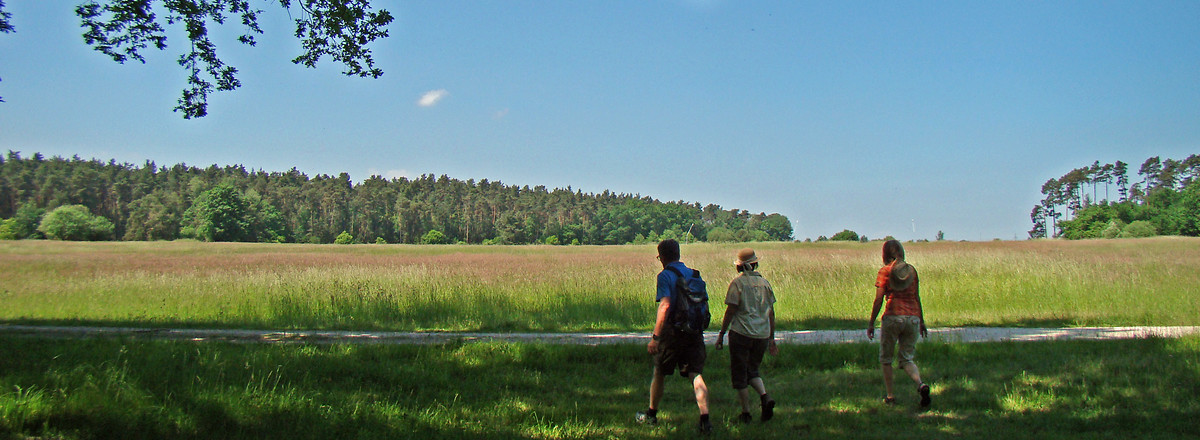 Vor dem ehemaligen US-Gelände &ndash;  (04.02.2016, VGN &copy;&nbsp;VGN GmbH)