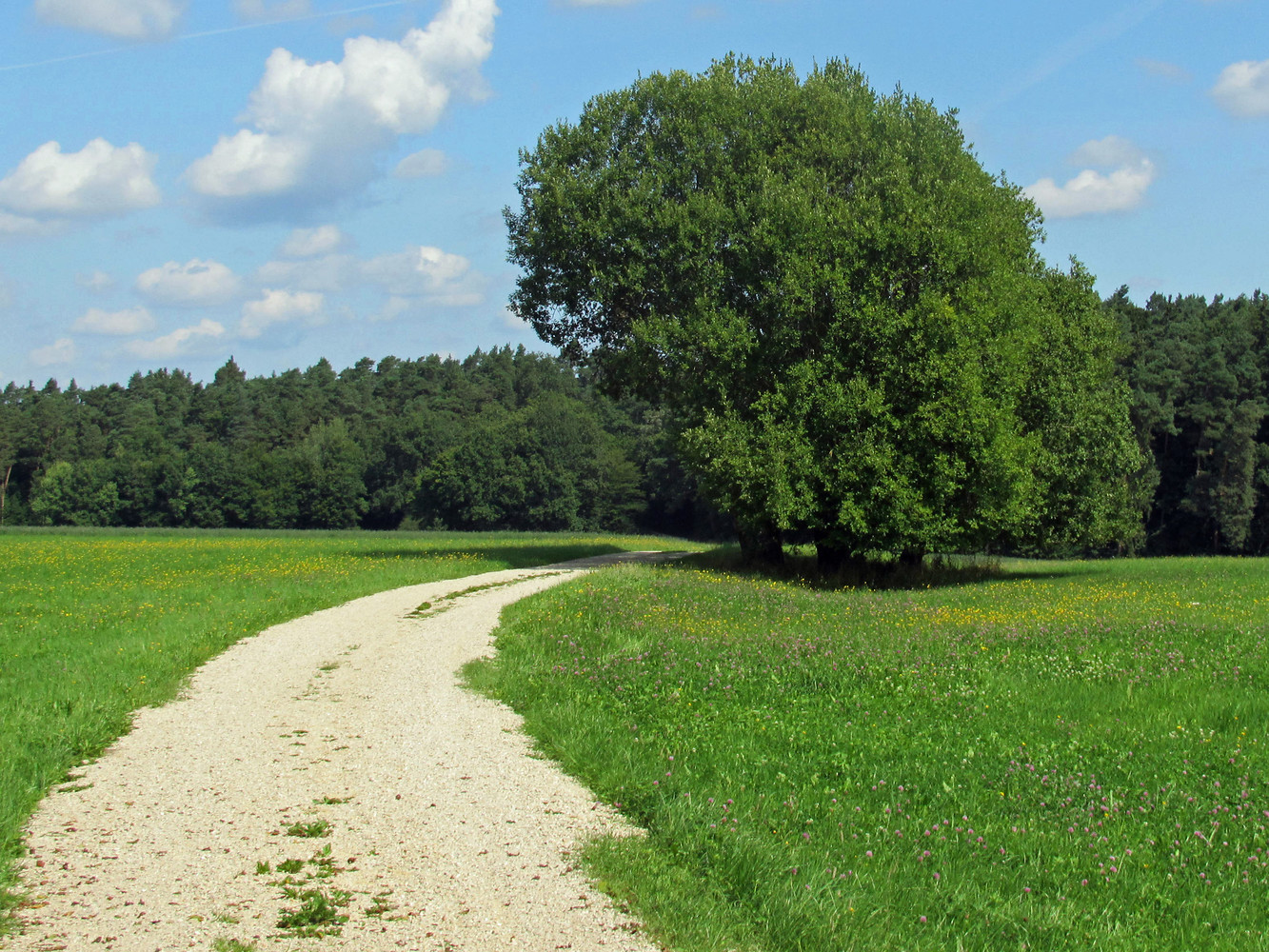 Schotterweg &ndash;  (VGN &copy;&nbsp;VGN GmbH)