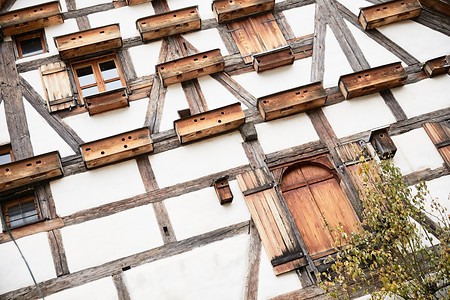 Fachwerk &ndash; (10.10.2020, Andrea Gaspar-Klein &copy;&nbsp;VGN GmbH)