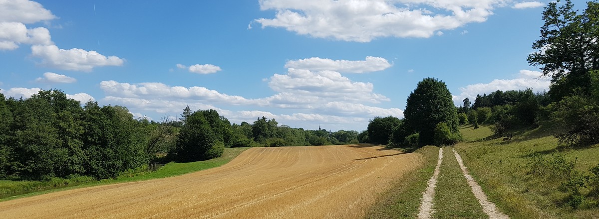 Weite Flur &ndash;  (11.08.2019, S. Dassler &copy;&nbsp;VGN GmbH)