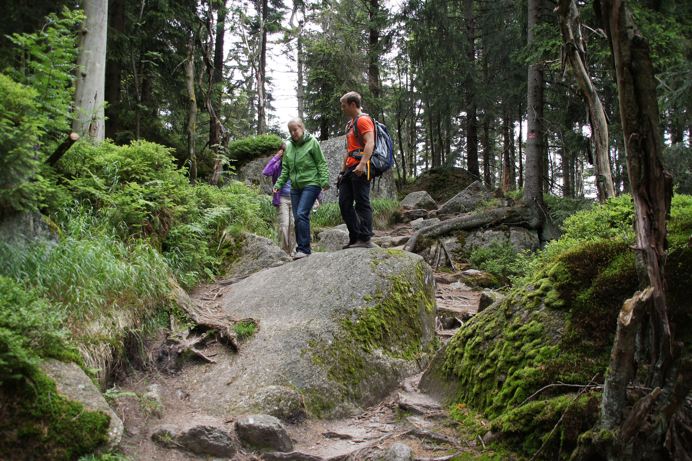 Dr tess lawrie ivermectin