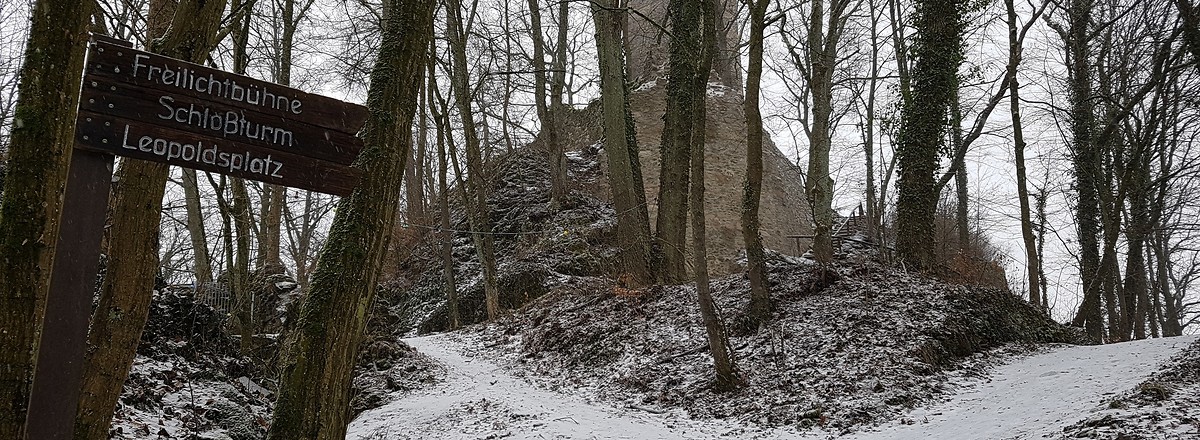 Zum Schlossturm &ndash;  (03.02.2019, S. Dassler &copy;&nbsp;VGN GmbH)