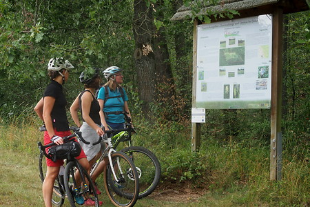 Orientierung &ndash; (10.08.2019, U. Buescher &copy;&nbsp;VGN GmbH)