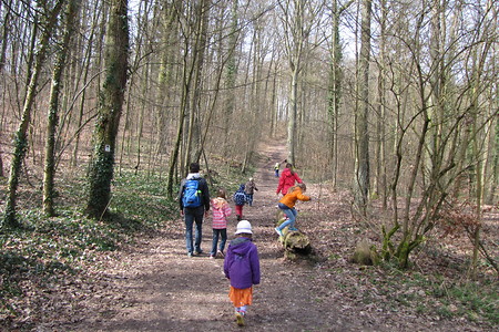 Waldweg &ndash; (20.02.2017, VGN &copy;&nbsp;VGN GmbH)