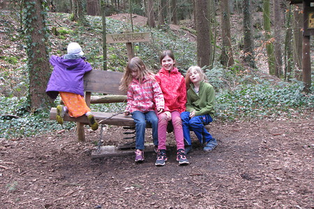 Wackelbank &ndash; (20.02.2017, VGN &copy;&nbsp;VGN GmbH)