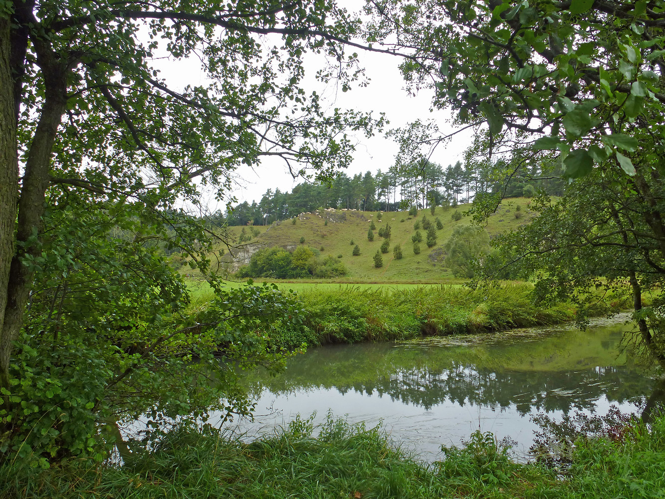 Schwarze Laber &ndash;  (VGN &copy;&nbsp;VGN GmbH)