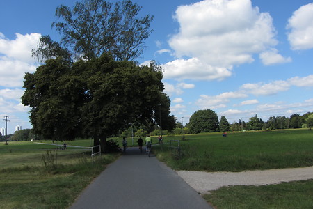 Weg nach Dechsendorf &ndash; (17.08.2016, schreibwerk &copy;&nbsp;schreibwerk)