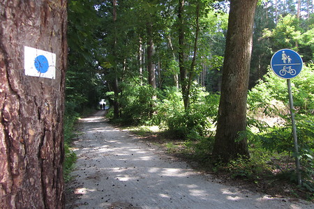 Durch den Wald &ndash; (17.08.2016, schreibwerk &copy;&nbsp;schreibwerk)