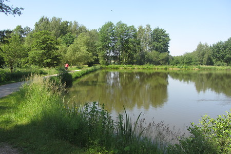 Noch mehr Weiher &ndash; (17.08.2016, schreibwerk &copy;&nbsp;schreibwerk)