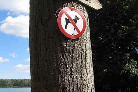 Hunde verboten &ndash; (17.08.2016, schreibwerk &copy;&nbsp;schreibwerk)