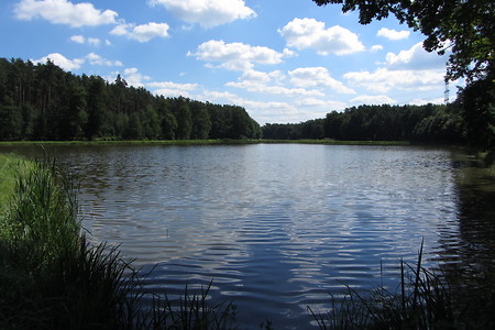 Weiherweitblick &ndash; (17.08.2016, schreibwerk &copy;&nbsp;schreibwerk)