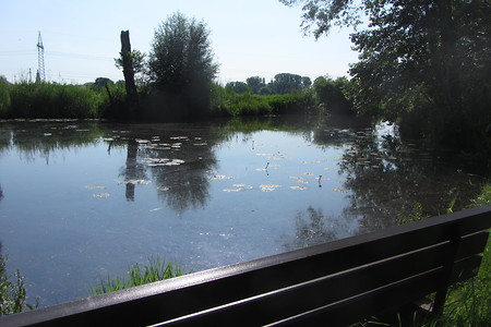 Weiher Dechsendorf &ndash; (17.08.2016, schreibwerk &copy;&nbsp;schreibwerk)
