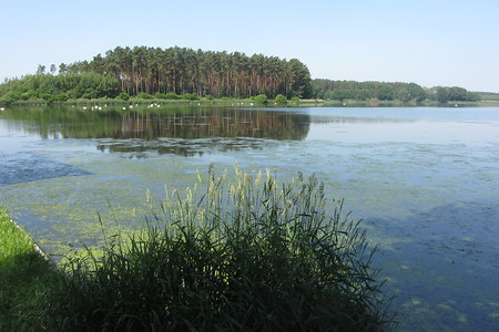 Dechsendorf-Röttenbach &ndash; (17.08.2016, schreibwerk &copy;&nbsp;schreibwerk)