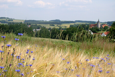 Blick auf Creußen &ndash; (VGN &copy;&nbsp;VGN GmbH)
