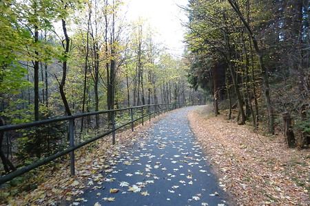 Radweg herbstlich &ndash; (21.10.2018, S. Dassler &copy;&nbsp;VGN GmbH)