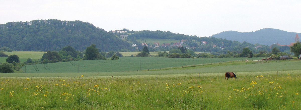 Ausblick über die Kuhweiden &ndash;  (VGN &copy;&nbsp;VGN GmbH)
