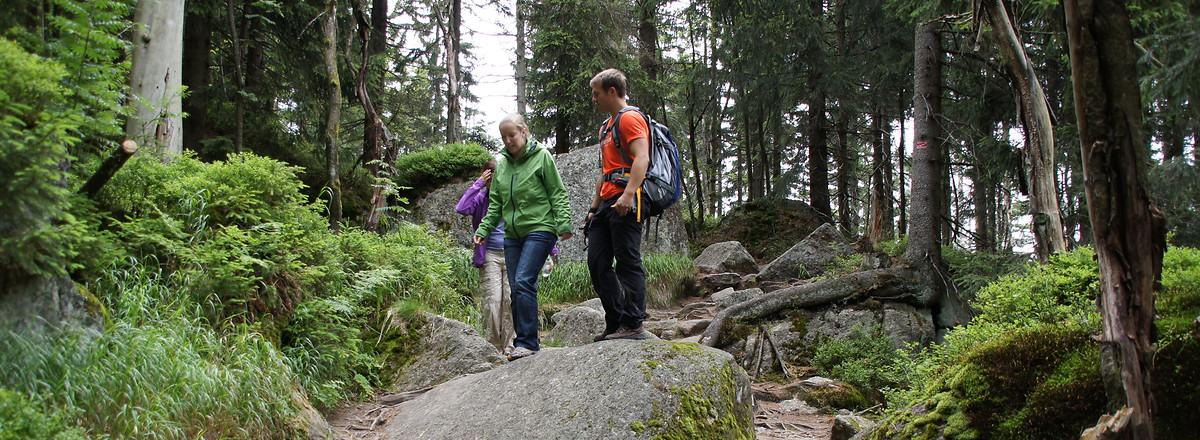 Abstieg &ndash;  (VGN &copy;&nbsp;VGN GmbH)