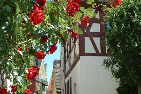 Rosengasse &ndash; (12.02.2019, Touristinfo Pegnitz &copy;&nbsp;Touristinfo Pegnitz)