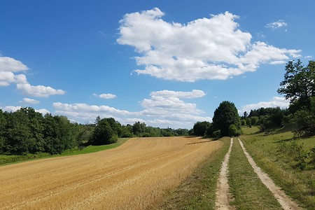 Weite Flur &ndash; (11.08.2019, S. Dassler &copy;&nbsp;VGN GmbH)