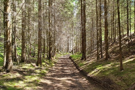 Weicher Waldweg &ndash; (11.08.2019, S. Dassler &copy;&nbsp;VGN GmbH)