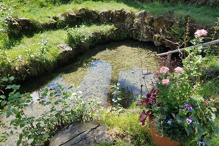 Quelle der Wiesent &ndash; (11.08.2019, S. Dassler &copy;&nbsp;VGN GmbH)