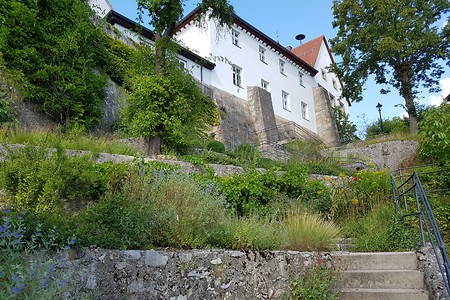 Terrassengarten Hollfeld &ndash; (11.08.2019, S. Dassler &copy;&nbsp;VGN GmbH)