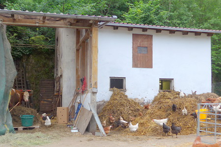 Bauernhof &ndash; (11.08.2019, G. Härer &copy;&nbsp;VGN GmbH)