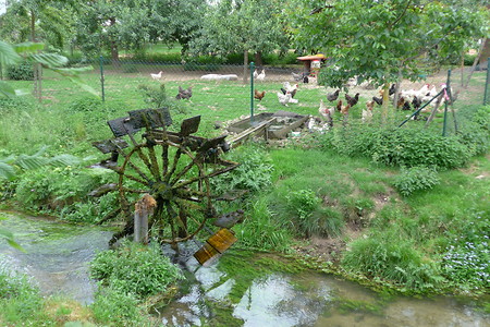 Wasserrad &ndash; (11.08.2019, G. Härer &copy;&nbsp;VGN GmbH)