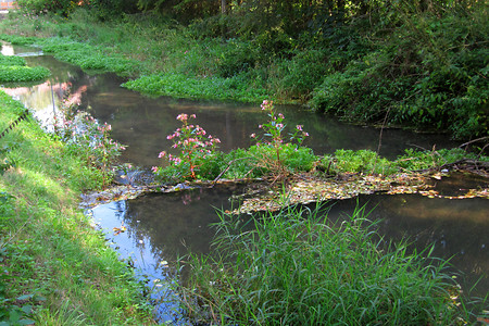 Wiesent &ndash; (11.08.2019, G. Härer &copy;&nbsp;VGN GmbH)